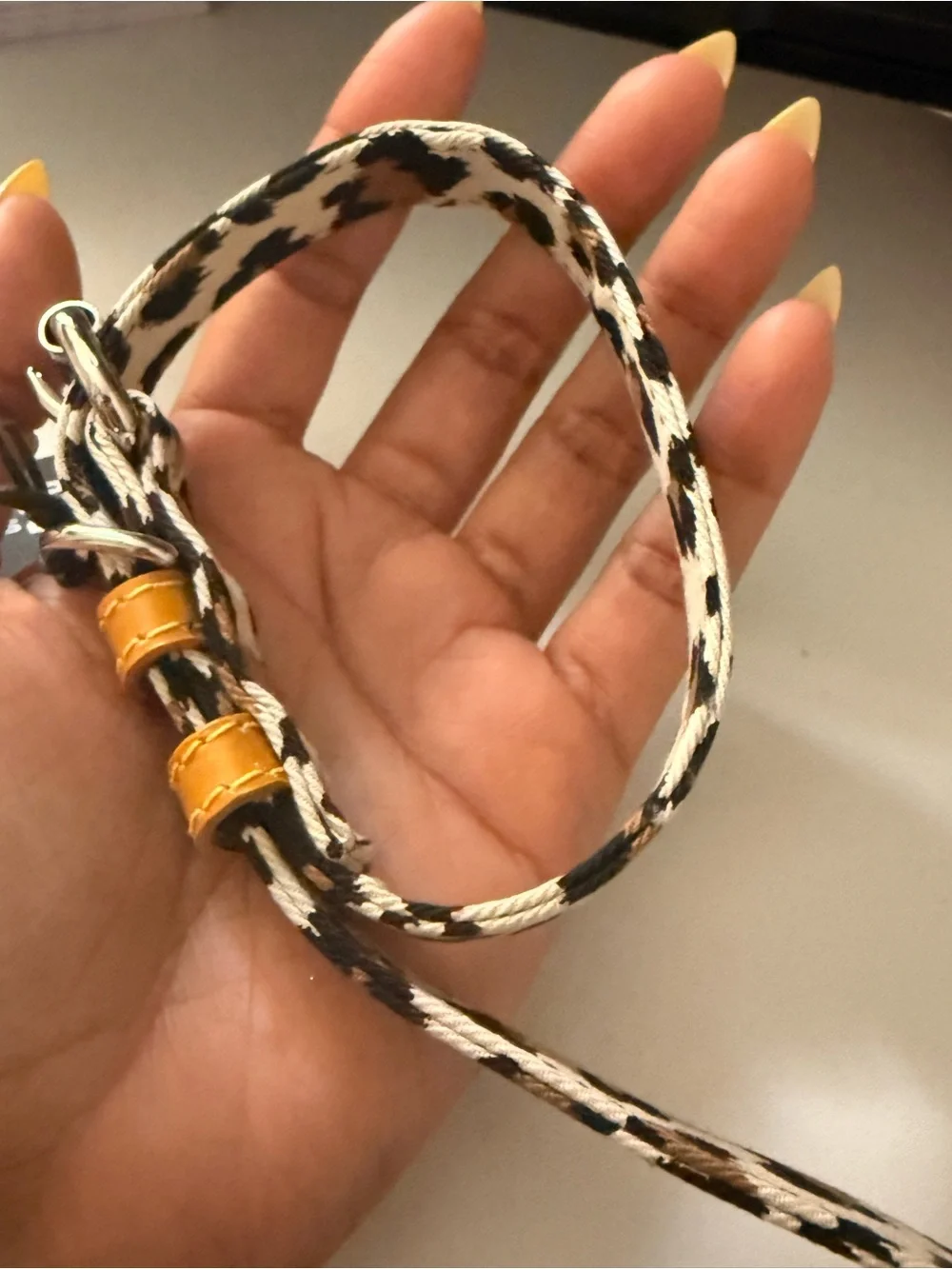 Ware of the Dog from Saks Fifth Avenue Leopard-Print Dog Collar